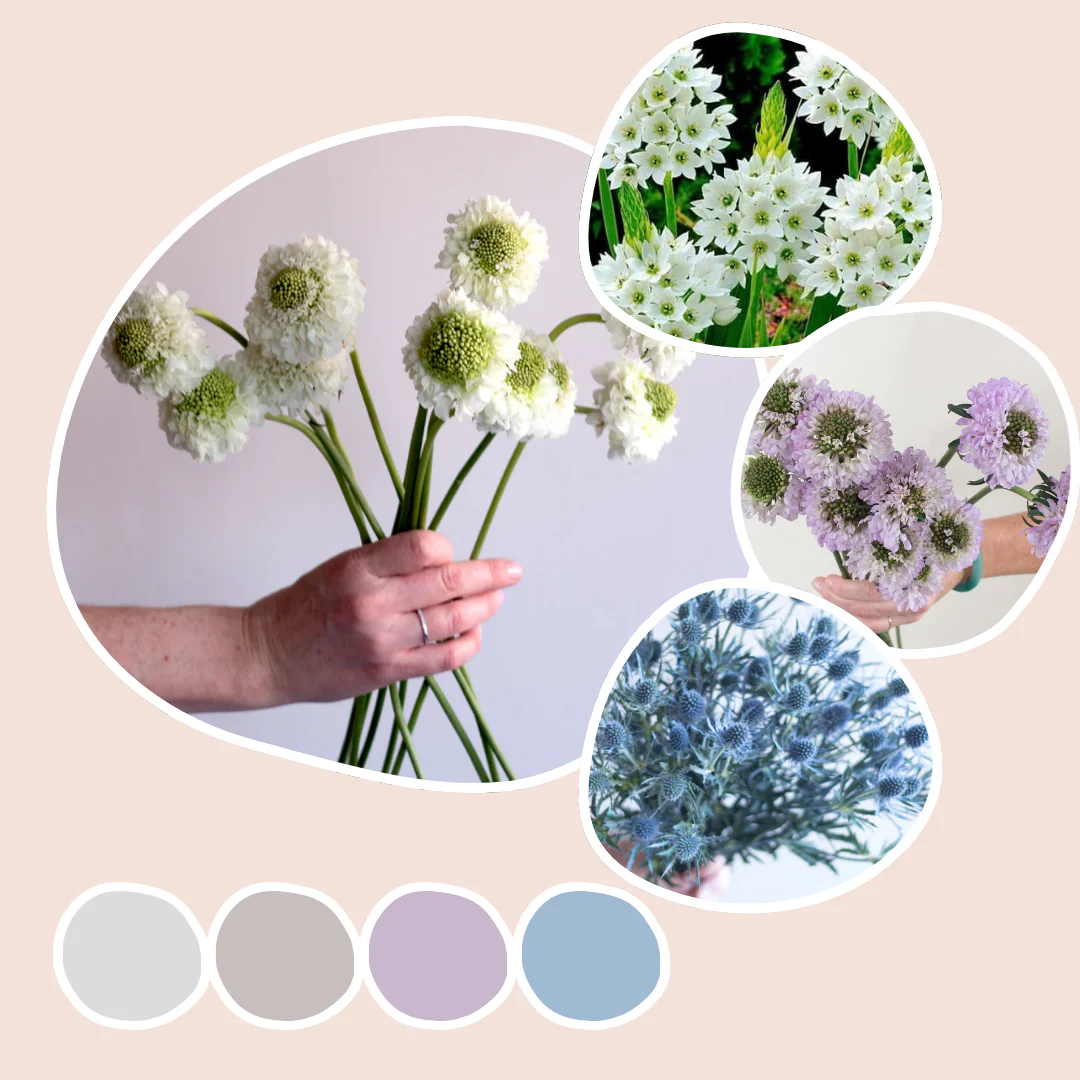 New Bulk Flowers